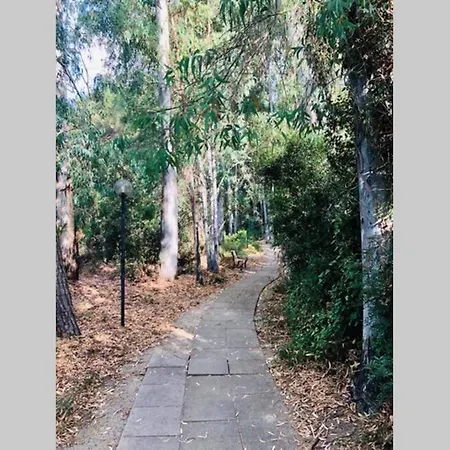 Club. One Bedroom 13g Apartment