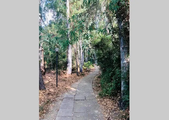 Club. One Bedroom 13g Apartamento